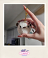 Hand holding a small white plush toy with gold chain, blurred kitchen background