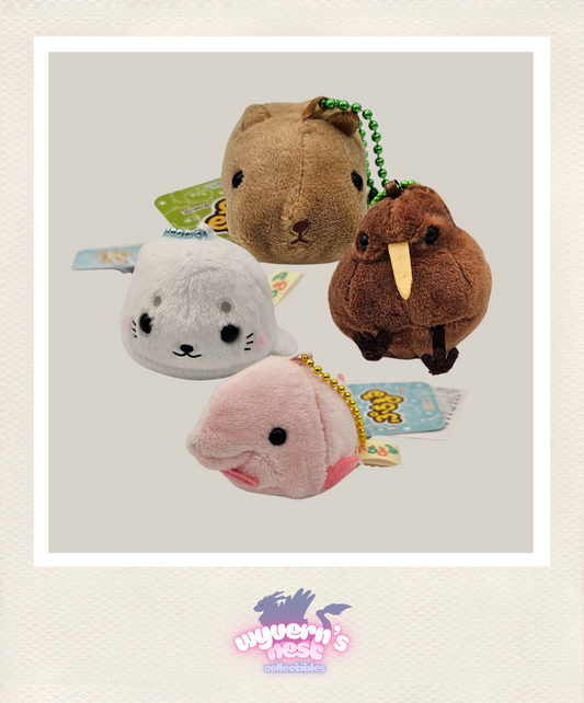 AMUSE Puchimaru - Bring Home All Four!
