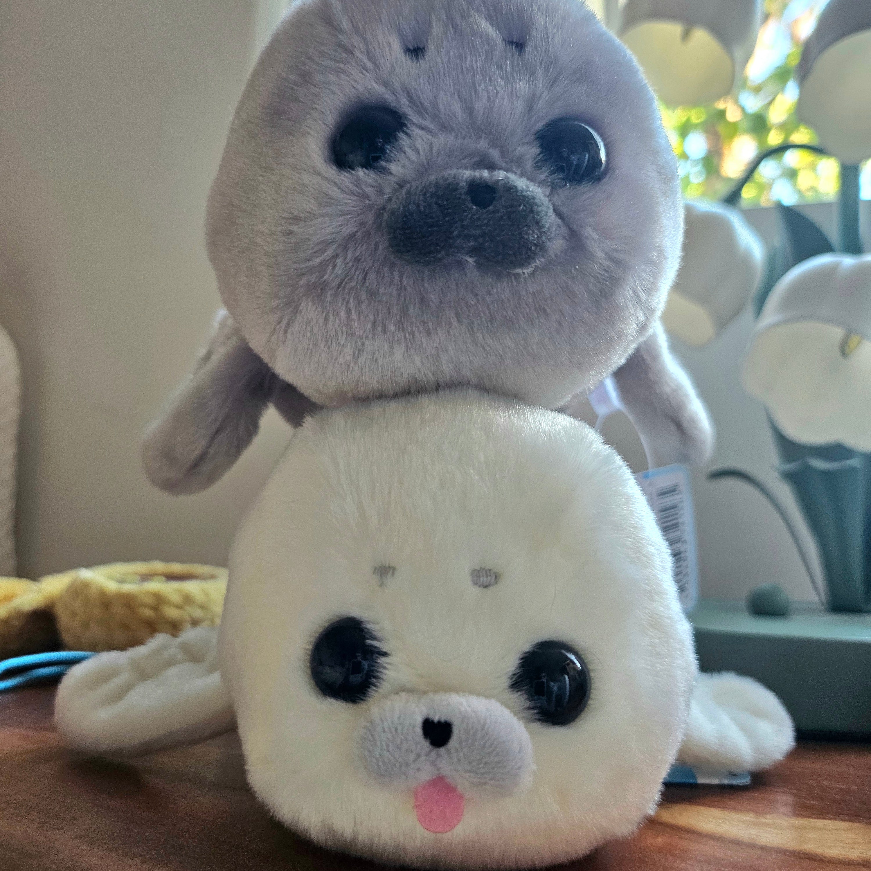 Medium Howa Howa Artic Seal - Adorable 24cm Plushies