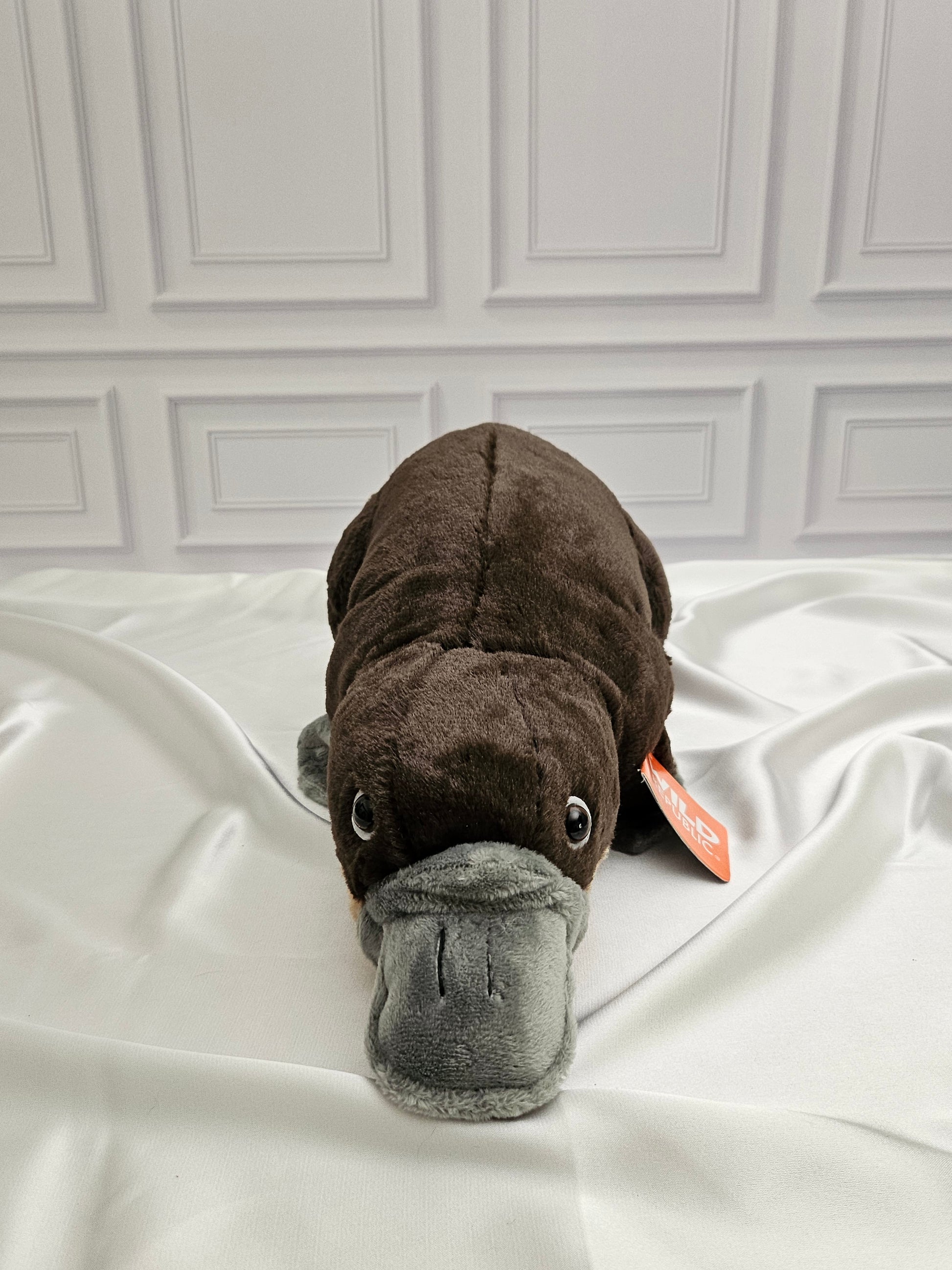 Platypus Stuffed Animal - 12 in - Cuddlekins