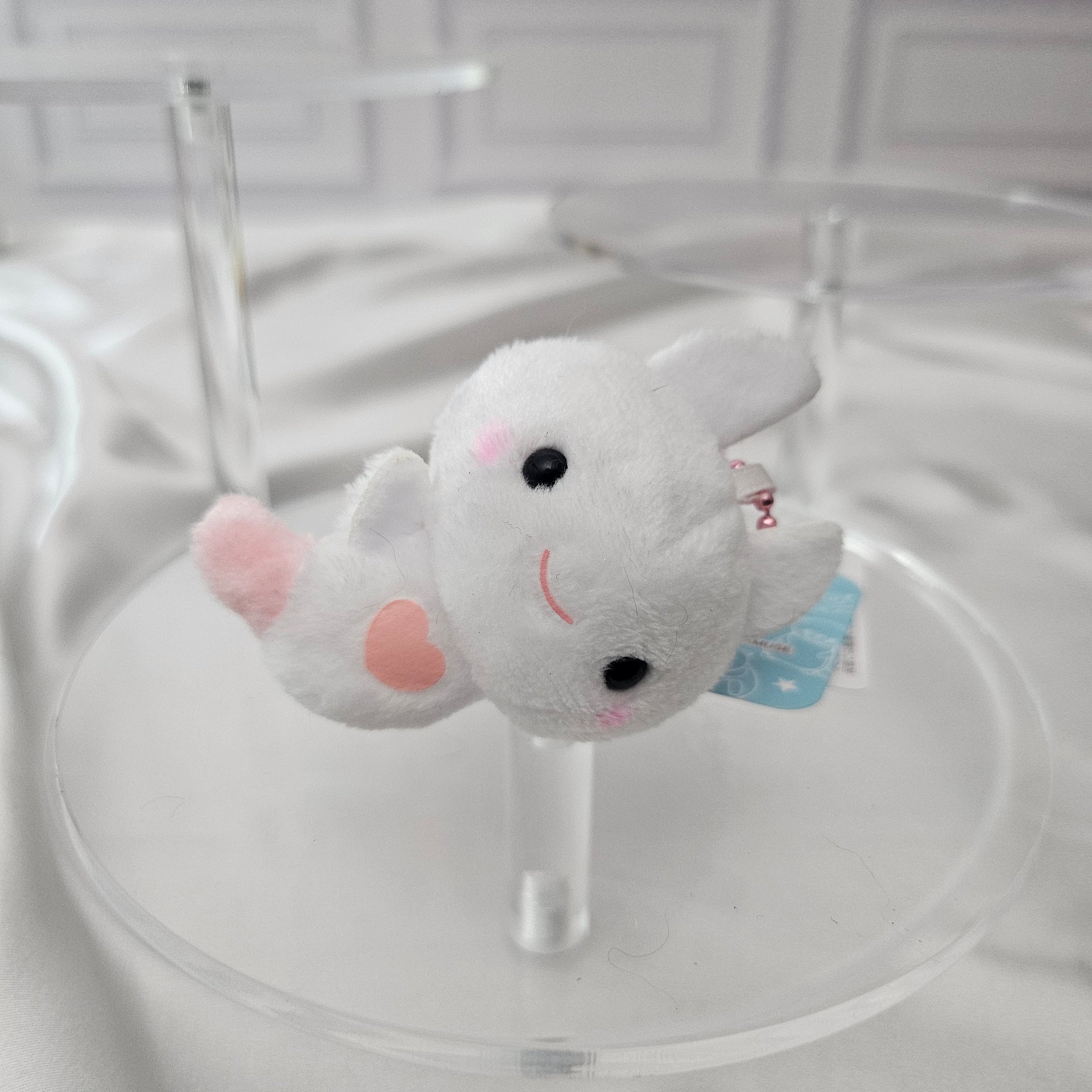 Sea Critters - Puchimaru - Mini Animal Bean-filled Plush Keychain
