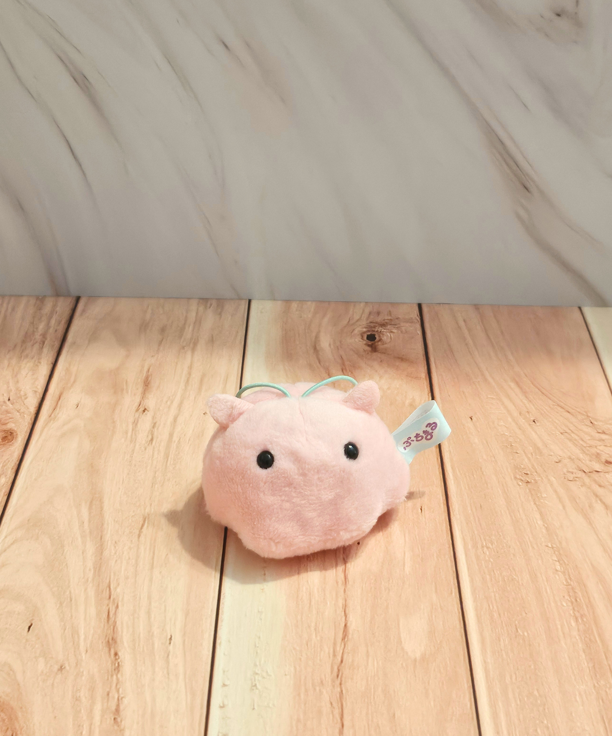 RARE Discountinued - Puchimaru - Mini Animal Bean-filled Plush Keychain