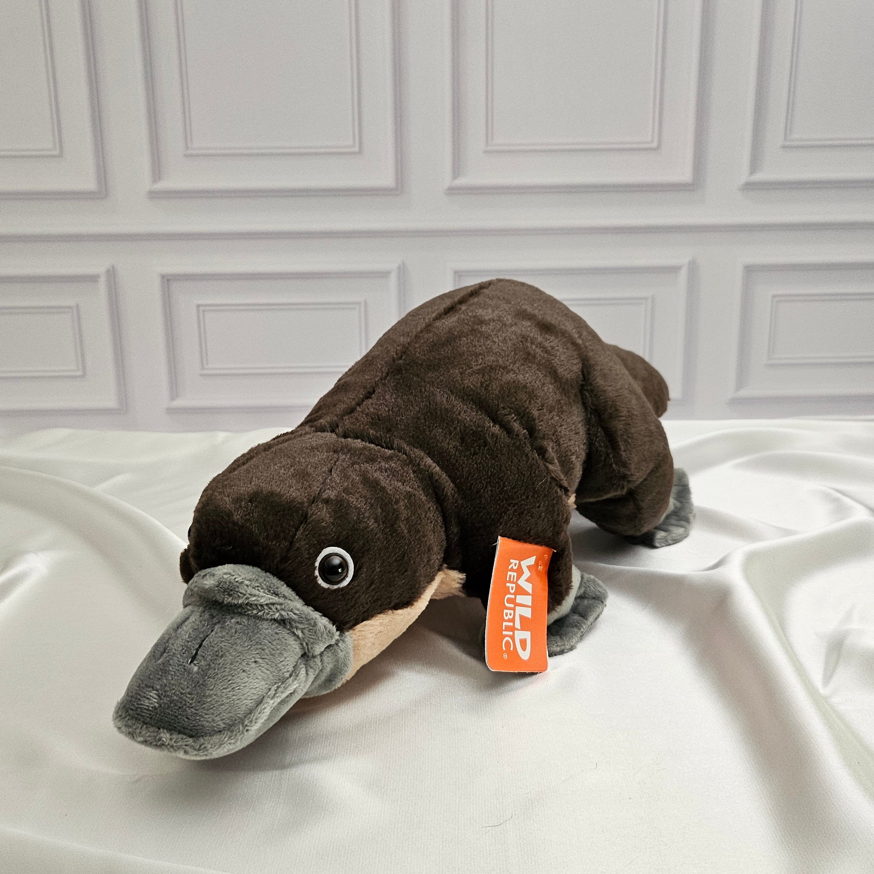 Platypus Stuffed Animal - 12 in - Cuddlekins