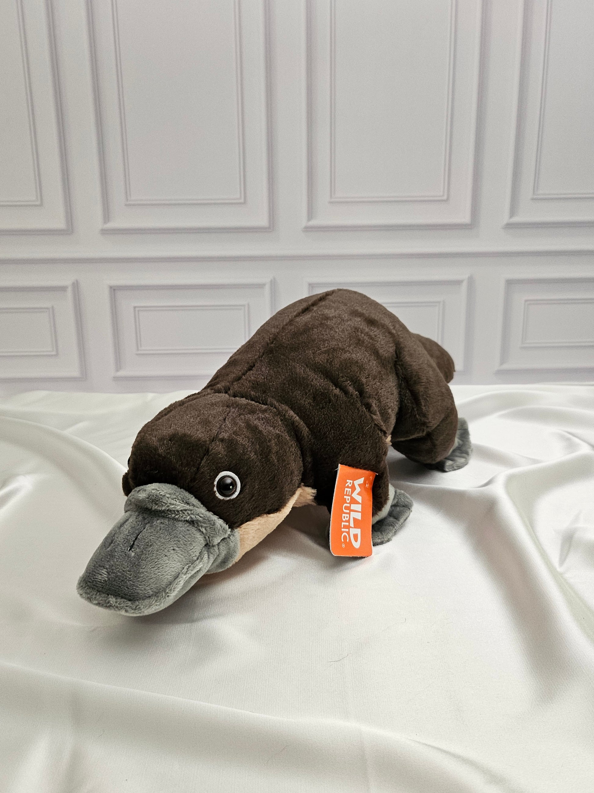 Platypus Stuffed Animal - 12 in - Cuddlekins