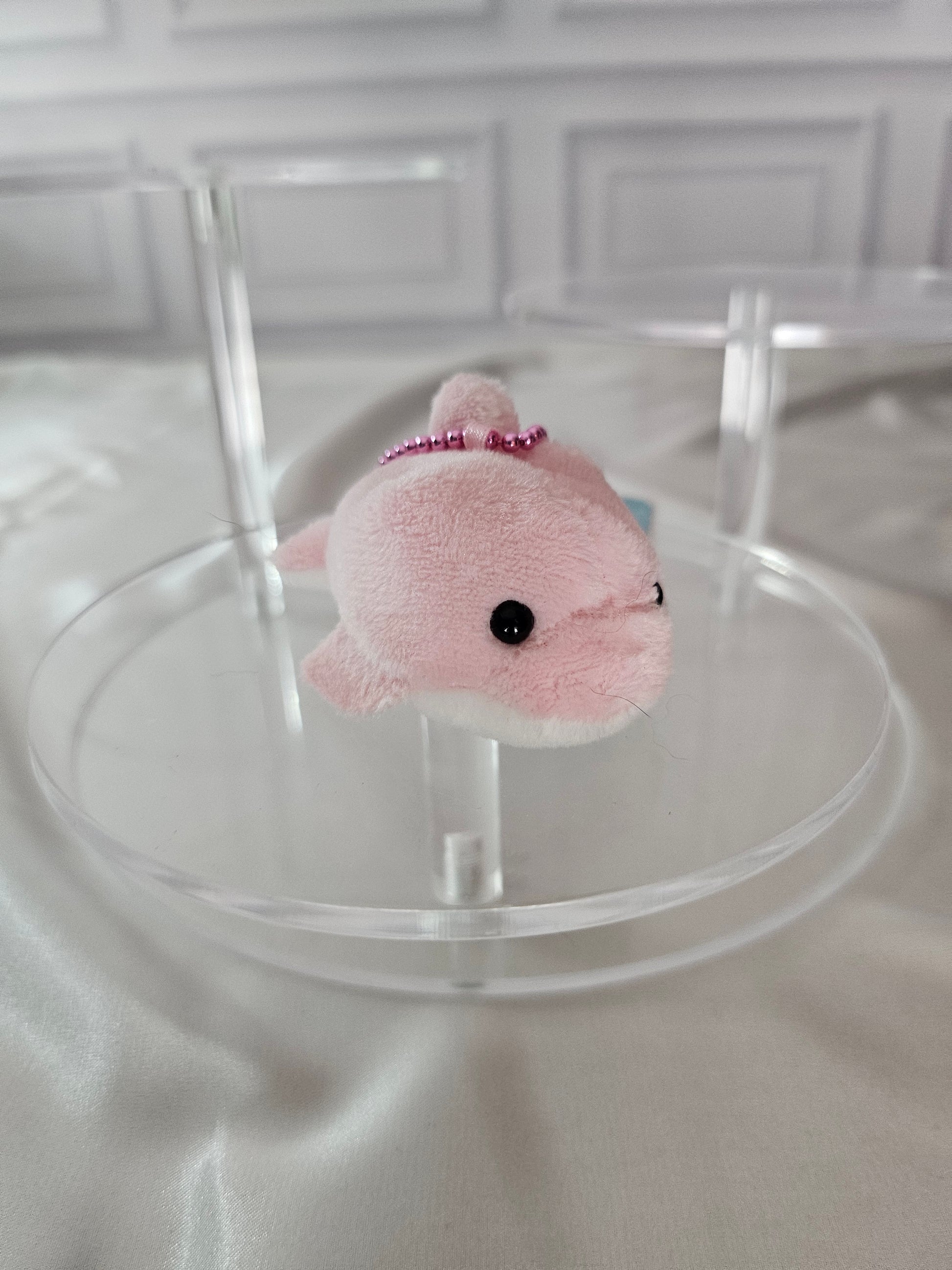 Large Sea Mammals  - Puchimaru - Mini Animal Bean-filled Plush Keychain