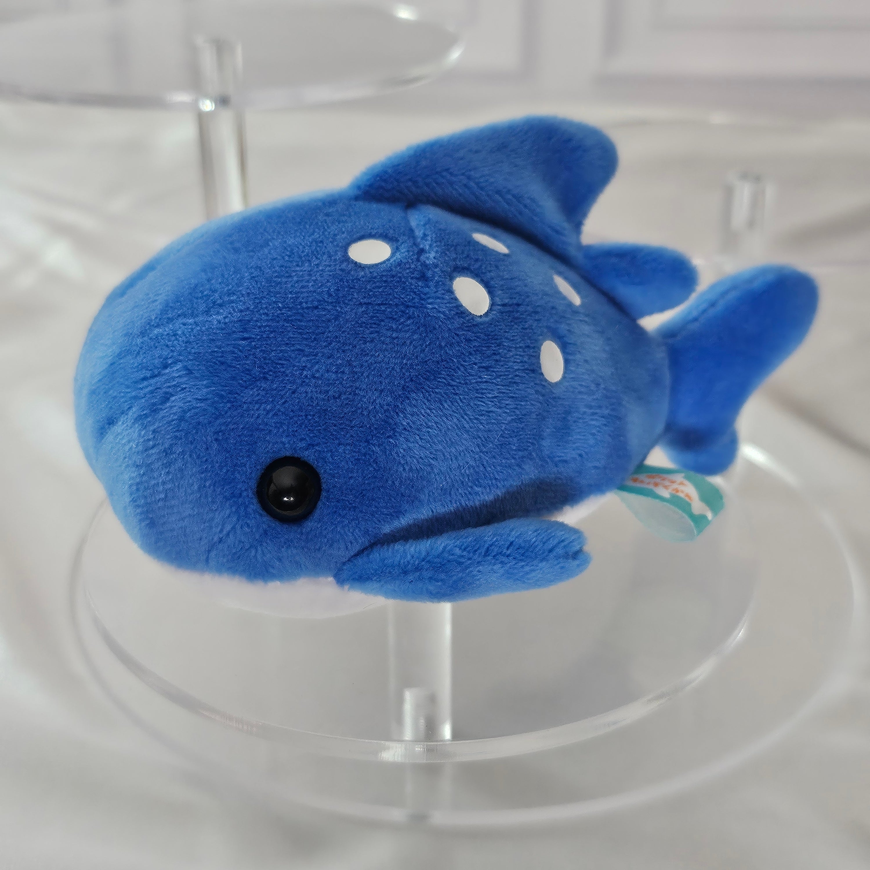 Whale Shark - Pocket Aquarium Large Puchimaru - Bean-filled Plush Keychain