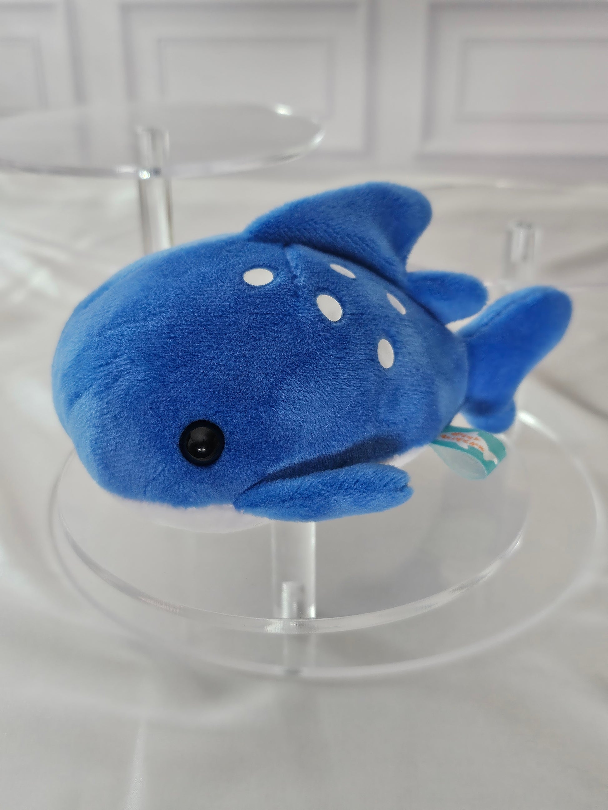 Whale Shark - Pocket Aquarium Large Puchimaru - Bean-filled Plush Keychain
